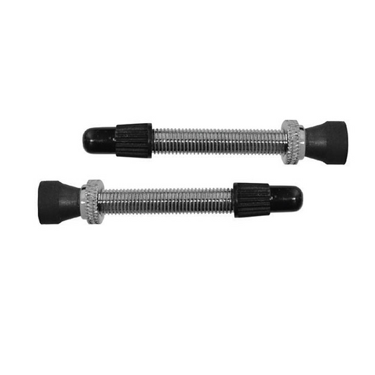 Tubeless Valve