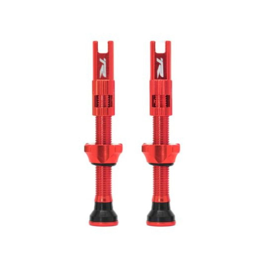 Ryder RVC Tubeless Valve Set 48mm Alu