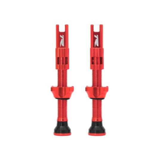 Ryder RVC Tubeless Valve Set 48mm Alu