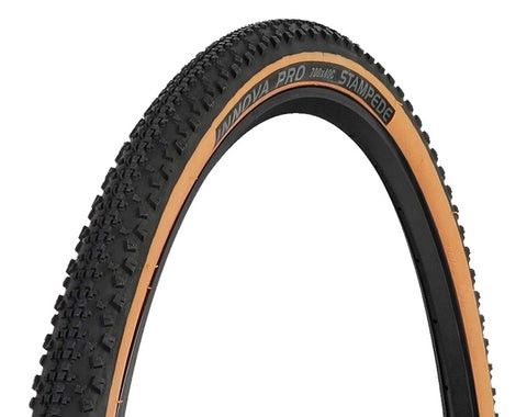 AVALANCHE ROAM 40C TYRE
